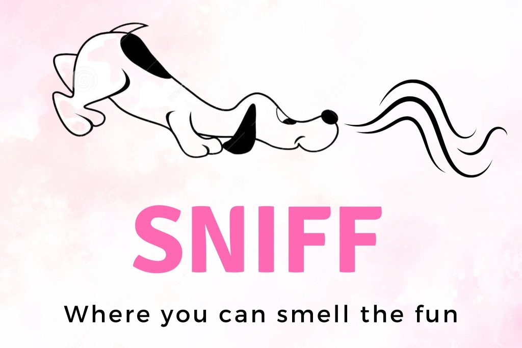 Sniff South Africa logo featuring a minimalist black and white line-art dog lying low with its nose following scent trails. The word "SNIFF" appears in bold pink capital letters beneath the illustration, with the tagline "Where you can smell the fun" in black on a soft pink watercolour background.