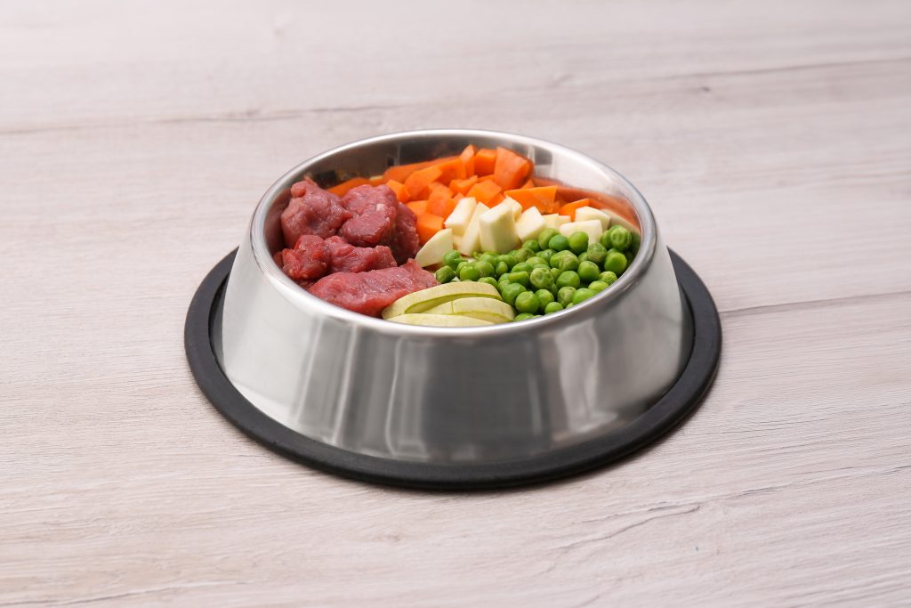 Bowl with organic dog food on light background. Space for text