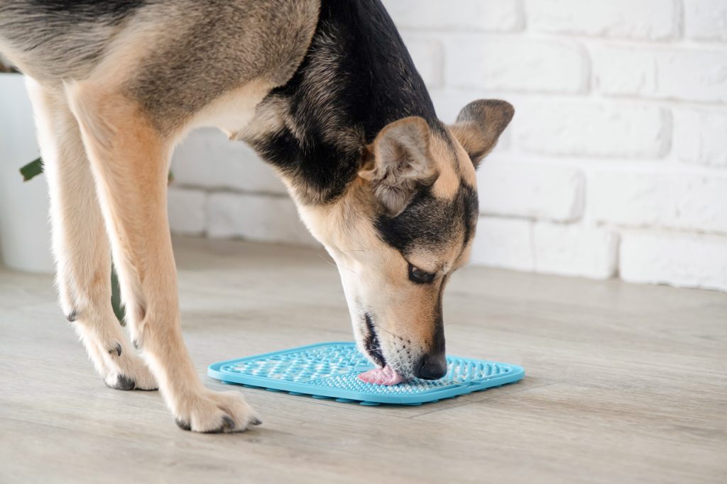 Black and tan dog licking food from a blue silicone lick mat on a wooden floor indoors, encouraging slow feeding and mental enrichment.