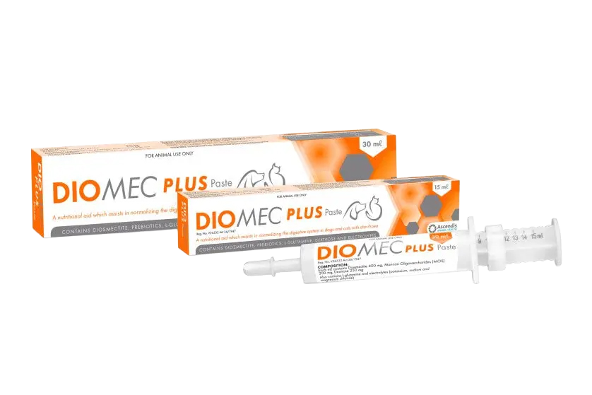 Boxes and dosing syringe of Diomec Plus Paste, a digestive support supplement for dogs and cats containing diosmectite, prebiotics, L-glutamine, electrolytes, and mannan oligosaccharides (MOS), available in 15 ml and 30 ml sizes.