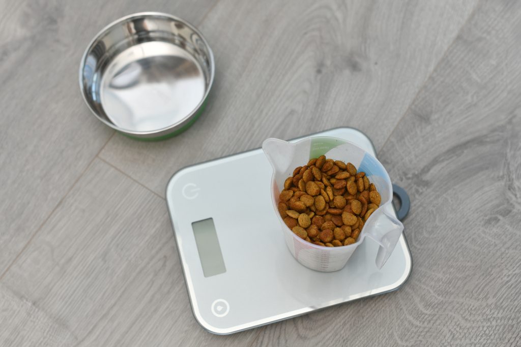 Dry pet food on electronic scales. Cat and dog diet.