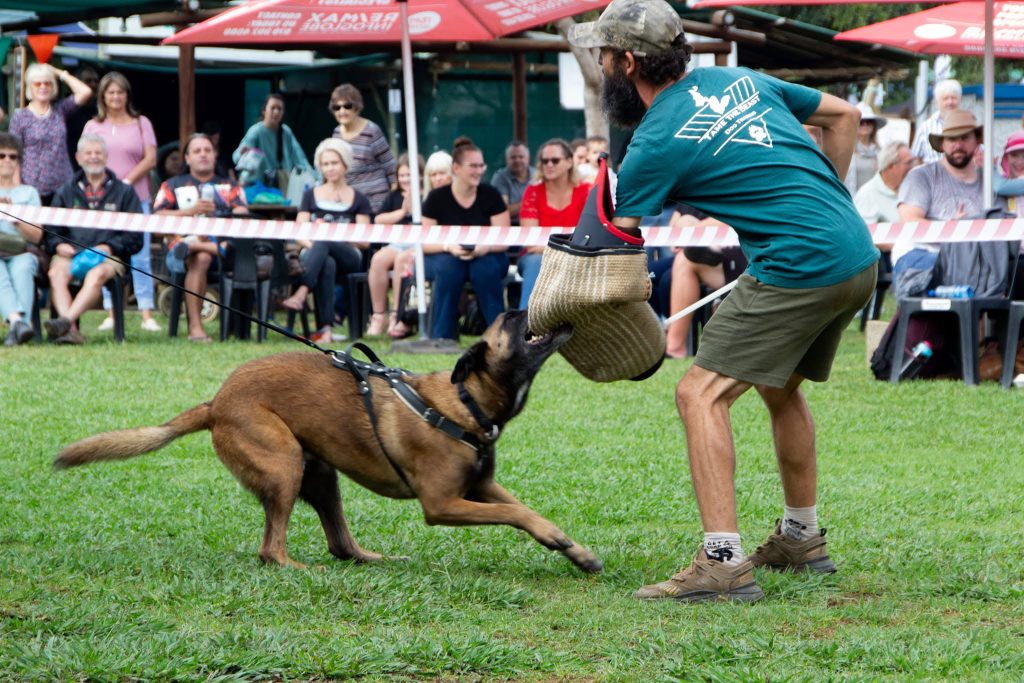 Tame the Beast Dog training-3